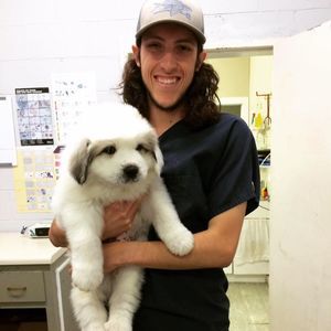 Meet your Posher, Max